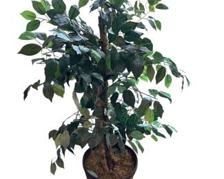 Artificial Potted Plant in Basket Pot