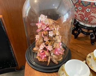 Glass Display Dome with Wood Base