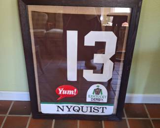 Kentucky Derby Winning Horse Nyquist Blanket