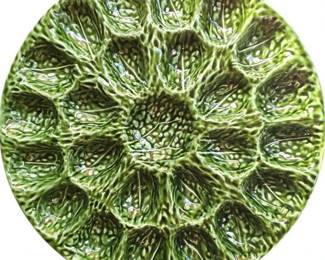 RARE Vintage Olfaire Cabbage Deviled Egg Plate