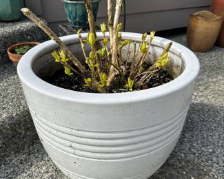 Assortment of Planters