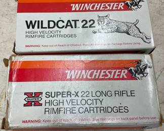 Lot# 489 - Winchester and Federal .22 Lo