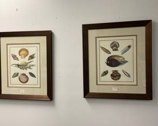 Sea Shell Prints