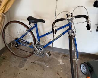 Schwinn bike