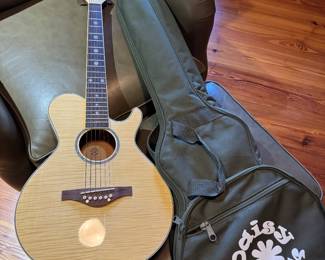 #94 - $100 -Acoustic Daisy Rock 6261