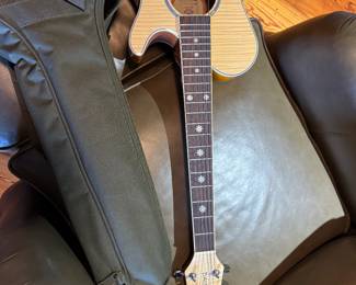 #94 - $100 -Acoustic Daisy Rock 6261
