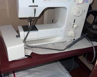 Bernina 1001