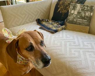 Kona 