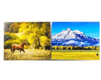 Lot of Two 16 x 20 Enlarged Wildlife Photos in Protective Sleeves - Horses under the Grand Tetons Wyoming
