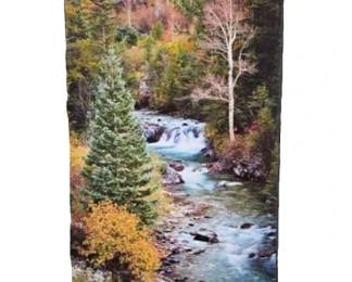 -"The Stellar Tree" Crystal River, Colorado 16" x 24"- R. Koepsell