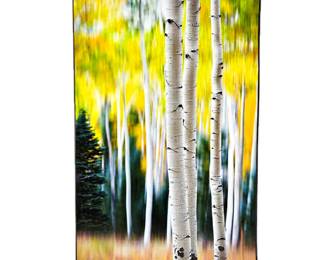 Photography Art -"Standing out in Fall" - Modern Abstract Motion Blur Print on Gallery Float MDF Plaque 23.5" x 36"