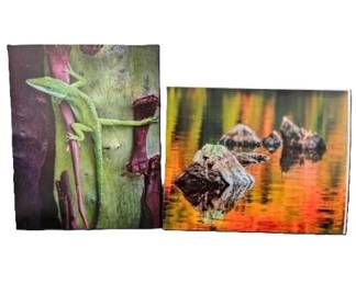 Set of Two Enlarged Photos 16 x 20 by Randy Koepsell