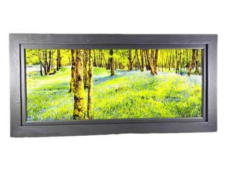 "Flowers Blue in a Wood: Scotland" Acrylic Mounted Photography w/ Custom Made Shou Sugi Ban Frame-69" x 33.5"
