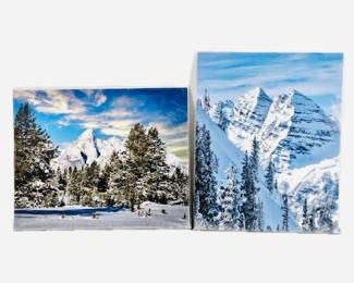 Lot of Two 16 x 20 Enlarged Wildlife / Nature Photos in Protective Sleeves "Maroon Bells" CO