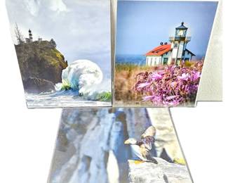 Lot of Three 16 x 20 Enlarged Wildlife / Nature Photos in Protective Sleeves "Fury" WA State" on left
