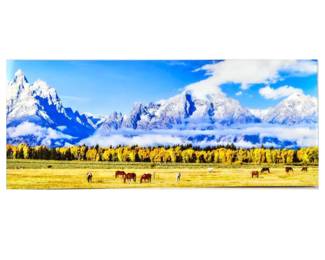 Teton Horses in Paradise" Wyoming - Acrylic Front Face 20" x 48"