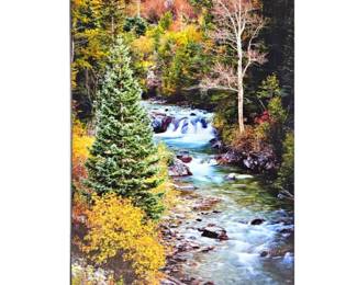 Gallery Float Fine Art Photography - Vibrant Autumn Colors at Crystal River, Colorado -24" x 36" R. Koepsell