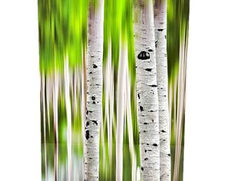 Modern Abstract Motion Blur Aspens "Standing out in Summer" on Aluminum Backing 20"