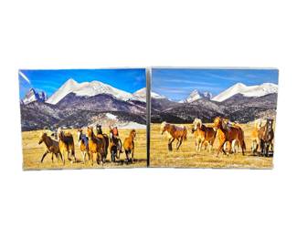 Lot of Two 16 x 20 Enlarged Wildlife Photos in Protective Sleeves - Horses under the Grand Tetons Wyoming