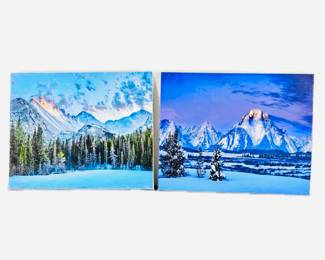 Lot of Two 16 x 20 Enlarged Wildlife / Nature Photos in Protective Sleeves "Lair of the Bear", CO