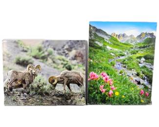 "American Paintbrush: Colorado" Wildlife and Landscape Prints - Mountain Goats & Summer Stream.