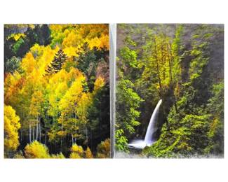 "50 Shades of Fall" & "Matlako Falls" Oregon - Lot of Two 16 x 20 Enlarged Nature Photos in Protective Sleeves