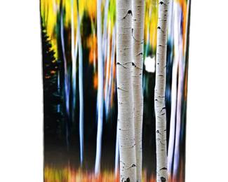 Randy Koepsell "Standing Out in a Crowd" Aspen Trees -Art Photography on Gallery Plaque 20 x 30