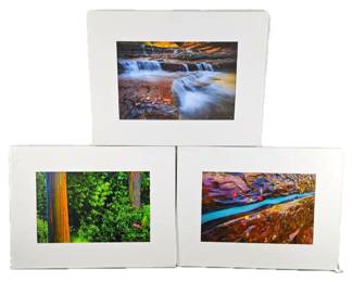 - Lot of Three Matted 11 x 17 Photographs in White 18 x 24" Matting - Zion Utah, & Maui