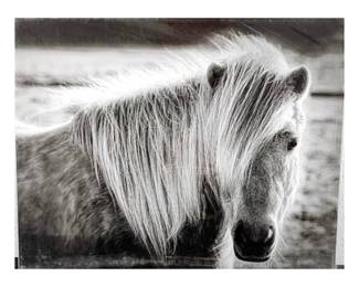 "Blonde in a Prior Life" 16 x 20 Photo Taken in Iceland. Randy Koepsell