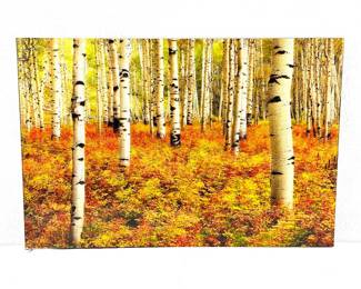 "Aspens of Utah" Acrylic Mounted Print- 24"x 36" by the artist Randy Koepsell