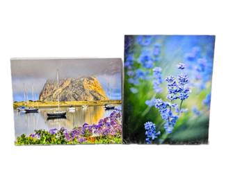 Lot of Two 16 x 20 Enlarged Wildlife / Nature Photos in Protective Sleeves - "Morro Lake, CA" & Blue Flowers