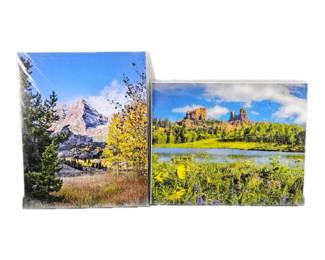 Lot of Two 16 x 20 Enlarged Wildlife Photos in