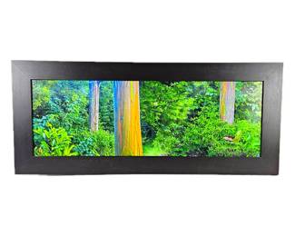 "Sunbeam in the Rainbows: Maui" Colorful Eucalyptus Tree Photo Art Framed 18.5 x 43.5"
