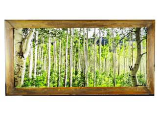 Love Carved Aspen Grove- Landscape Art Photography -Hand Forged Metal Frame with Lightweight Foam Core Print- 30" x 58"