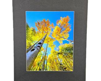 - 24" x 30" Aspen Scene "Ten Mile Range" CO. Vertical Photograph in 5" Black Matting