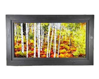 "Aspen Wood: Summer 2 Fall" Signed and Framed 34" x 58" Acrylic Mounted Print w/Shou Sugi Ban Frame