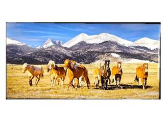 "Teton Horses in Paradise 2" Wyoming- Acrylic Mounted Print 24 x 48