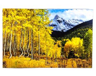 Signed "Ophir" Acrylic Framed Art Photography 24" x 36"