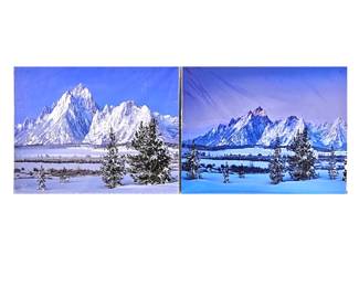 Lot of Two 16 x 20 Enlarged Wildlife / Nature Photos in Protective Sleeves