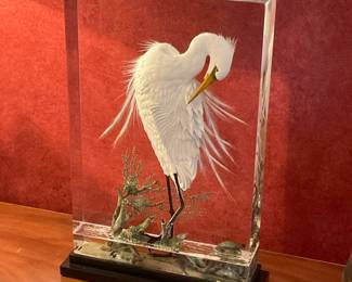 Acrylic Egret by Giles Peltier
