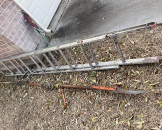 Extension ladder and tree trimmer