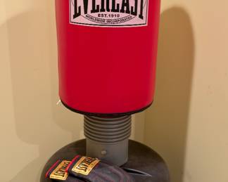 Everlast punching bag
