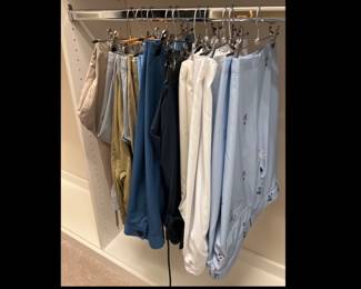 Lot 1101 Mens summer shorts sizes 36 40 Penguin ProtourBanana Republic