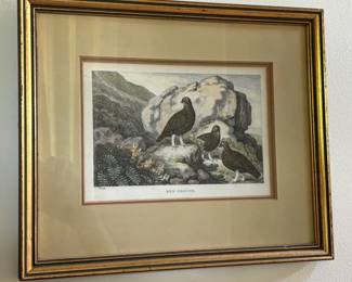 Grouse small print vintage.