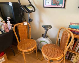 Rattan chairs with cane seats , exercise bike 