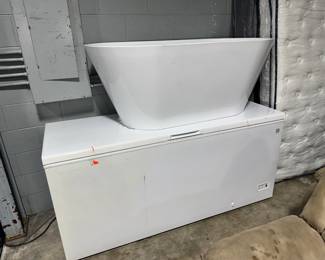 Chest Freezer and Bath Tub Orlando Estate Auction