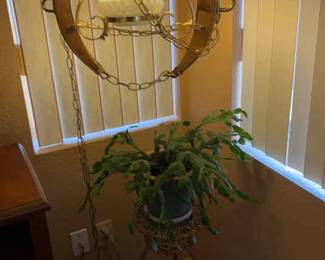 005 The Coolest Lamp Ever, And More