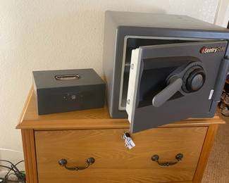 Sentry Safe And Cash Box