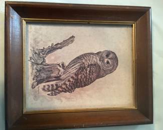 Owl Print