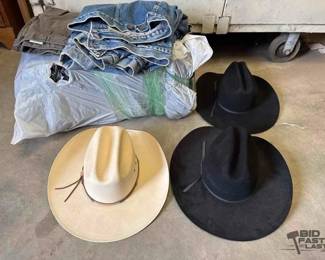 1022  3 Cowboy Hats and Clothes